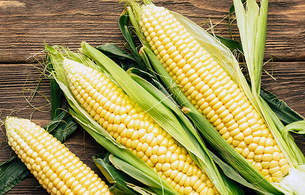 Corn