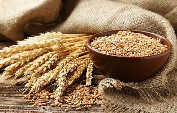 Wheat