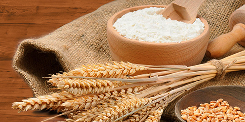 Wheat Flour